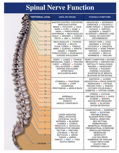 Chiropractic 101- The “Why” | The Brighter Life